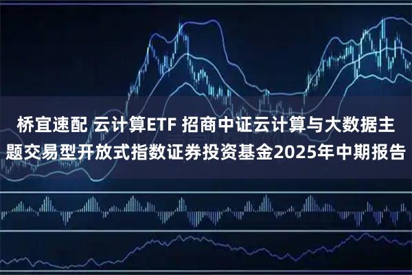 桥宜速配 云计算ETF 招商中证云计算与大数据主题交易型开放式指数证券投资基金2025年中期报告